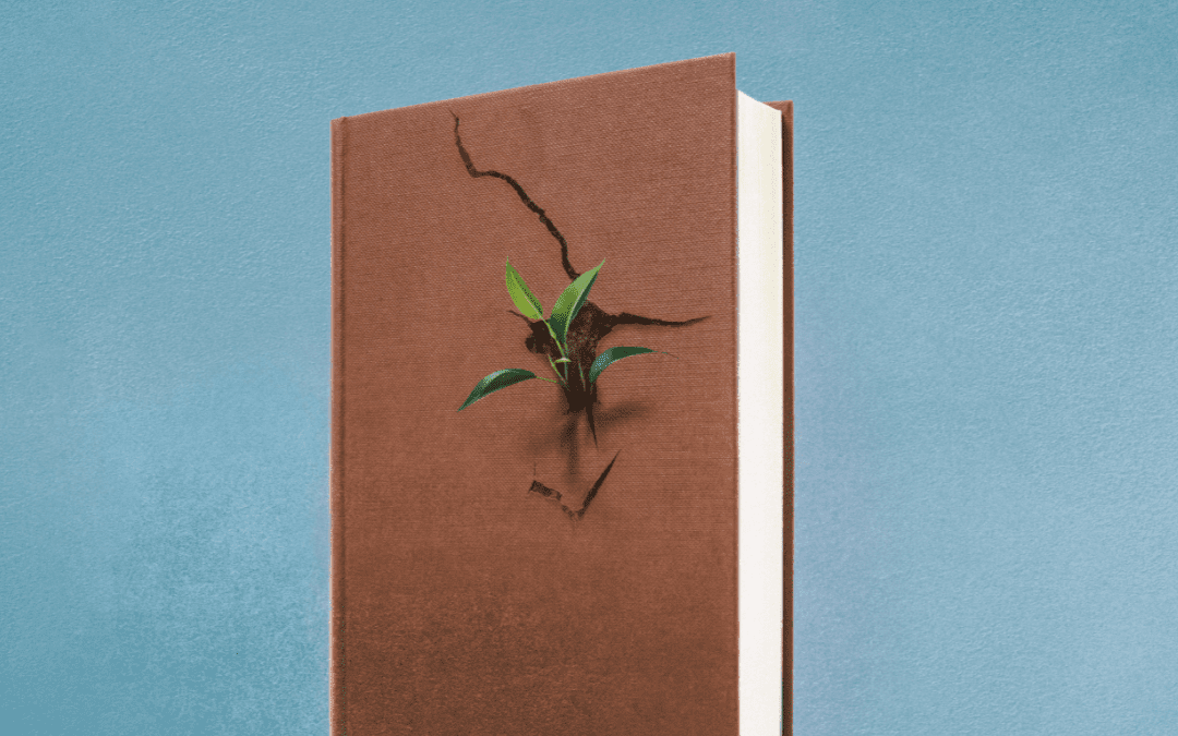 Reescritura de cuentos de hadas